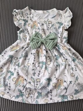 Girls 9-12m Bunny Floral Fit And Flare Dress With Green Bow Flutter Sleeves